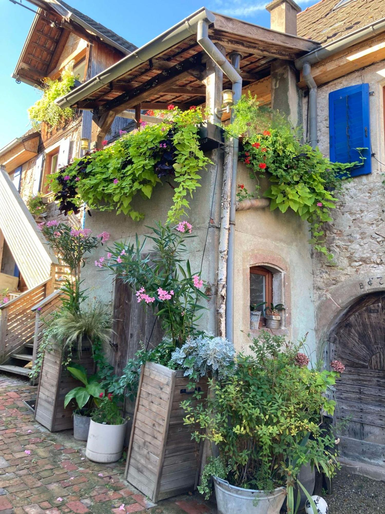 Apartment Les Du Raceme Blienschwiller