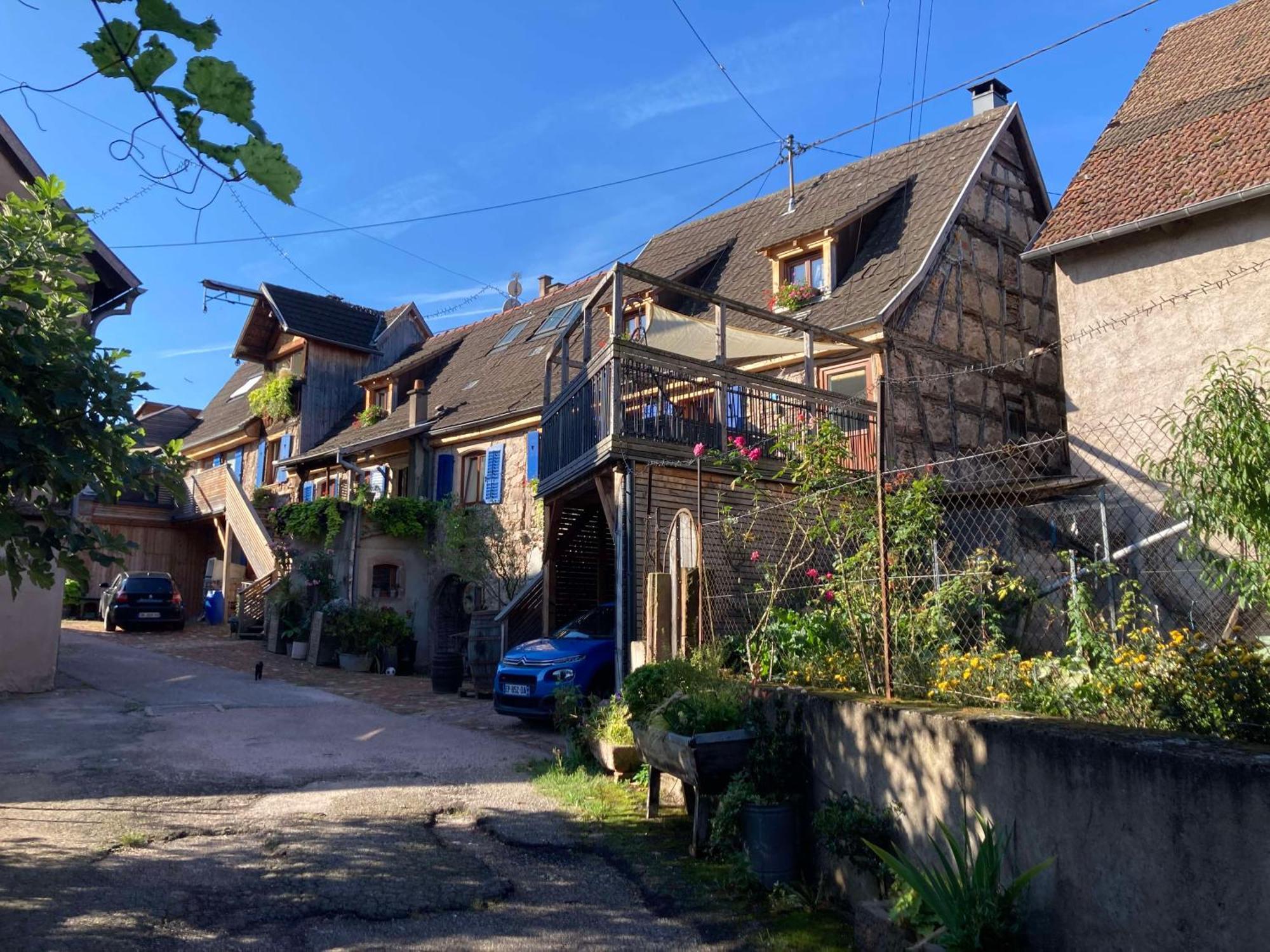 Les Du Raceme * Blienschwiller