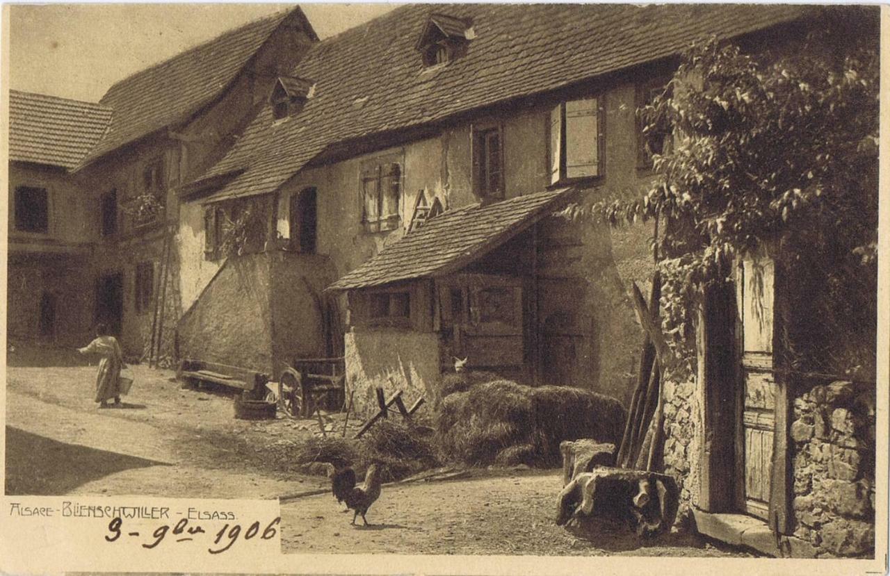 Les Du Raceme Appartement Blienschwiller